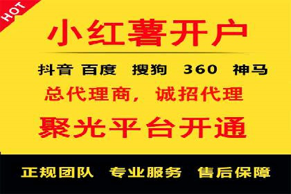 SEM运营推广策略：成功案例解析